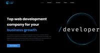 Web Development Company Kubas Labs image 1